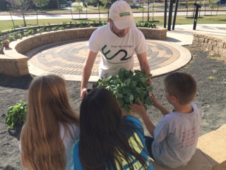​Week 6. The students get to choose cabbage or chard plants to take home. They are excited to care for their own plants as well as the school garden.